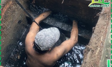 Thành hố ga là gì? Mọi thứ bạn cần biết về thành hố ga?