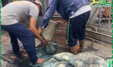 Hướng dẫn bảo trì hố ga một cách hiệu quả nhất