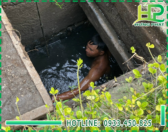 Cây trồng có thể giúp hút mùi hôi từ hố ga một cách hiệu quả