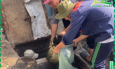 Vì sao hệ thống cống thoát nước liên tục quá tải khi mưa lớn?